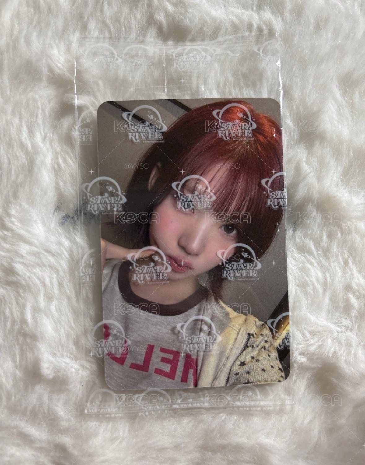 Jiwoo Focus sr 線下3.0 簽售卡 C ver. 上海