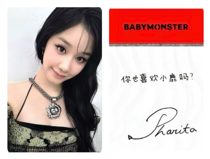 BM Pharita 京東 中文卡背