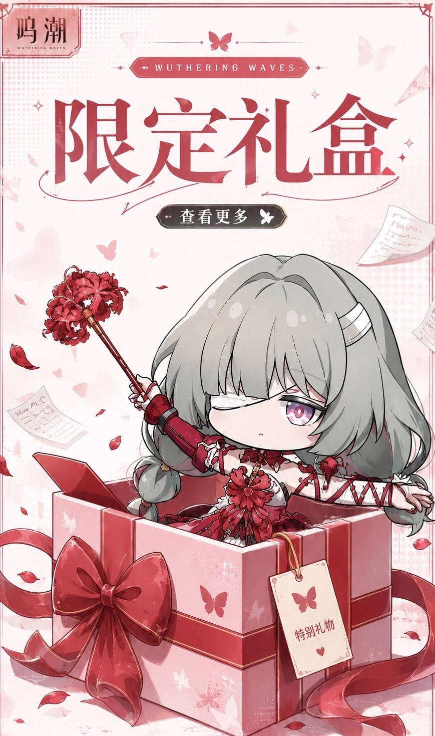 限定禮盒