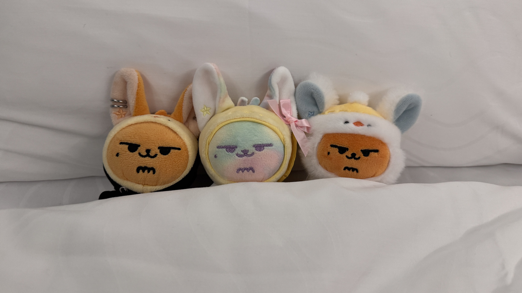 🐰🦊🧸🐿️🐧
