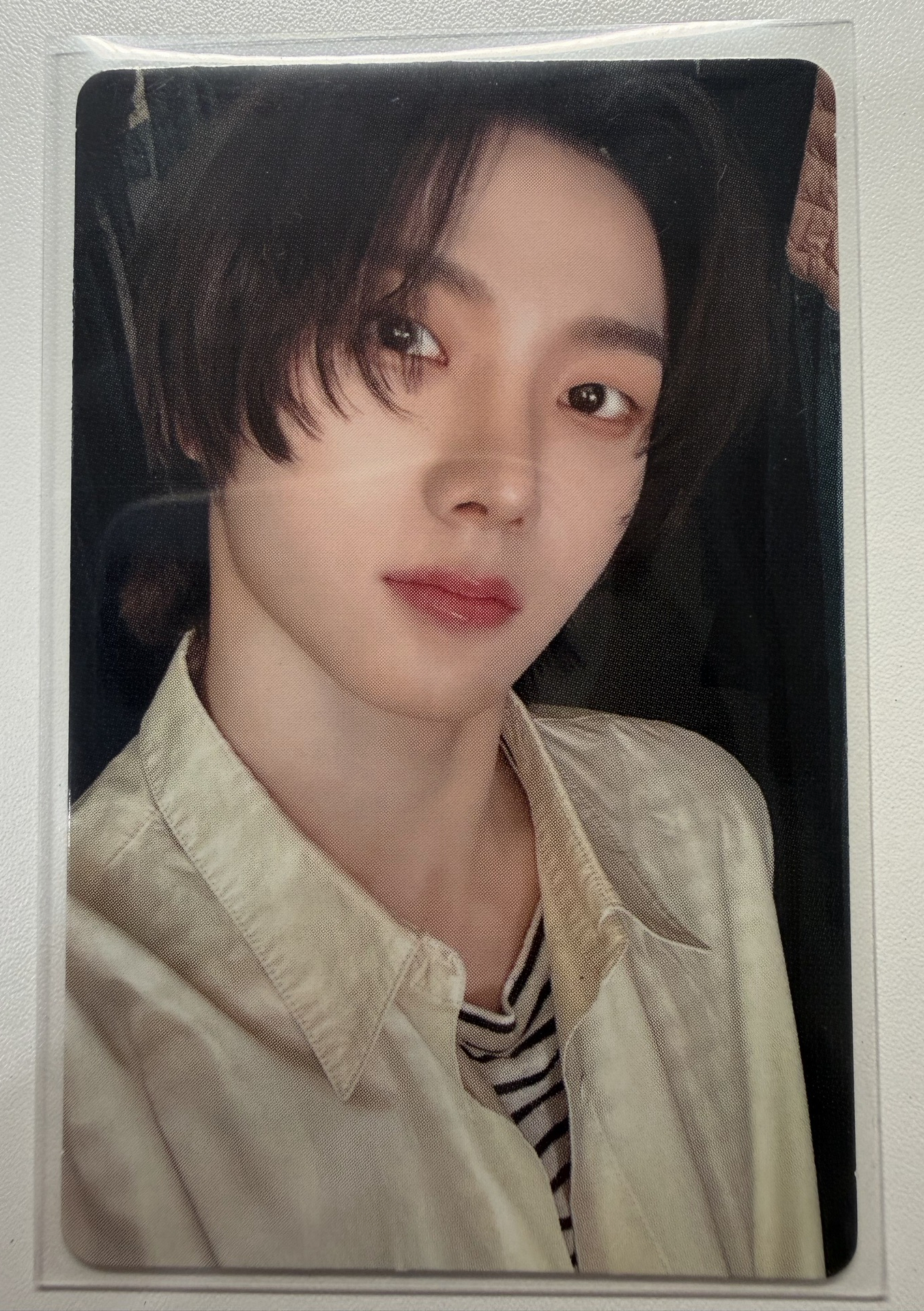 19.99 SUNGHO 專輯卡