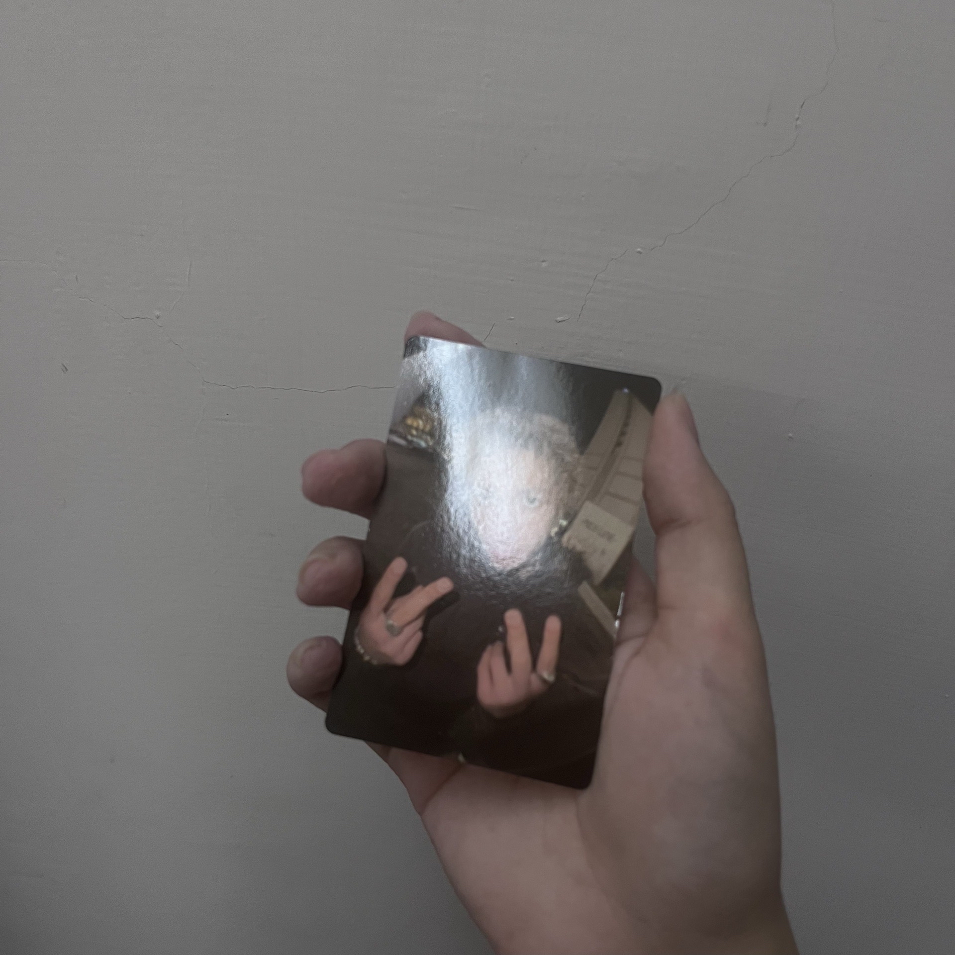 魚眼馬 