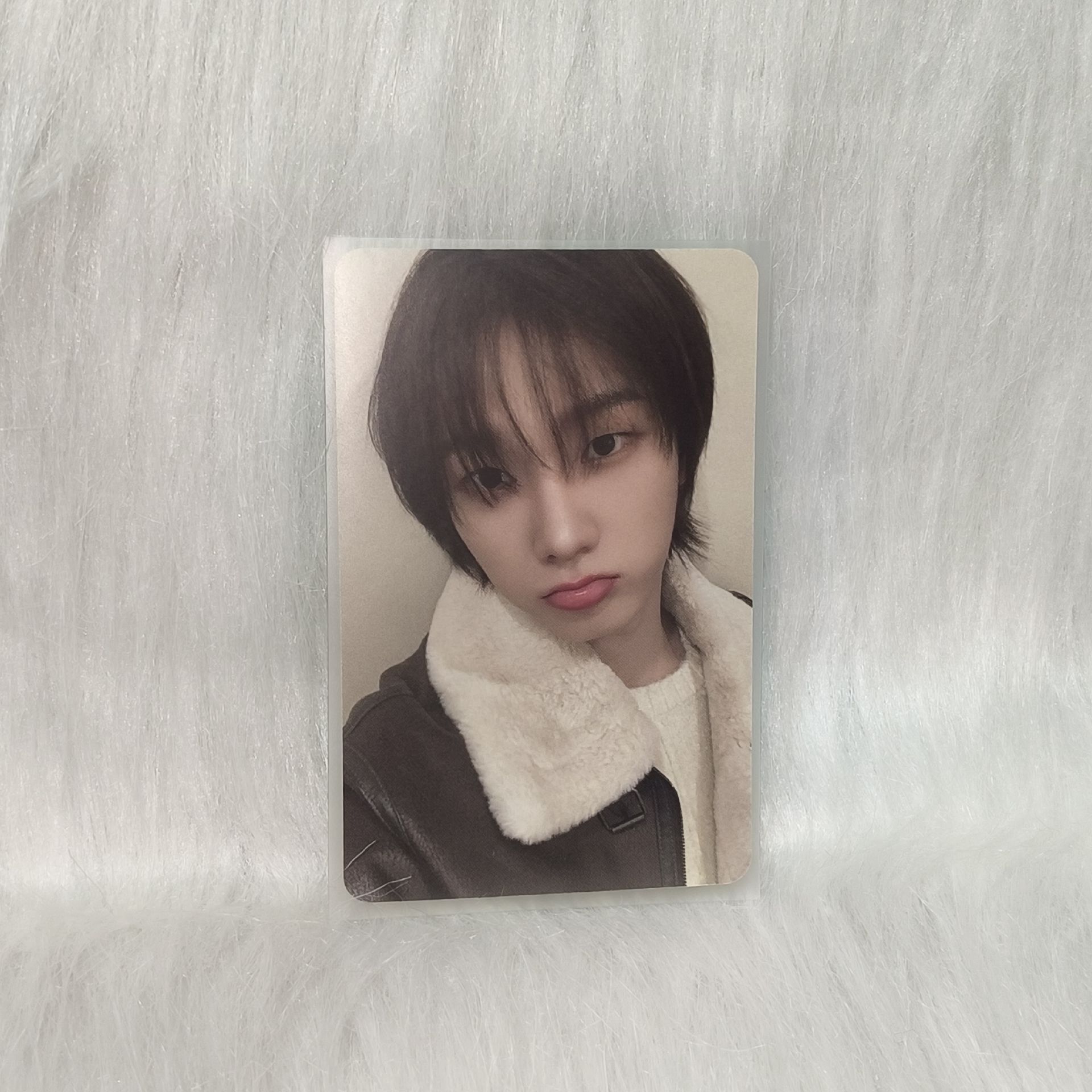 ⭐Sungho No Genre oy特典