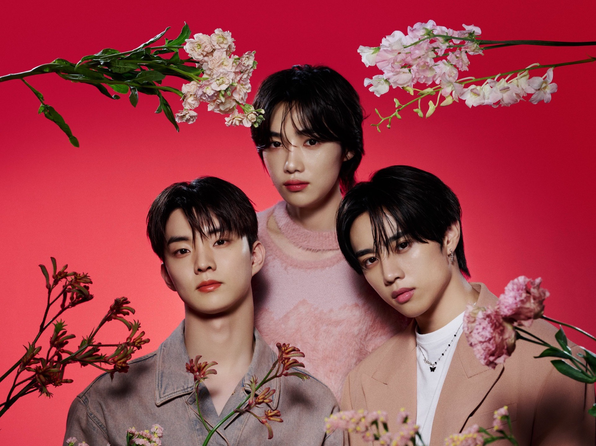 JILL STUART Beauty × THE BOYZ