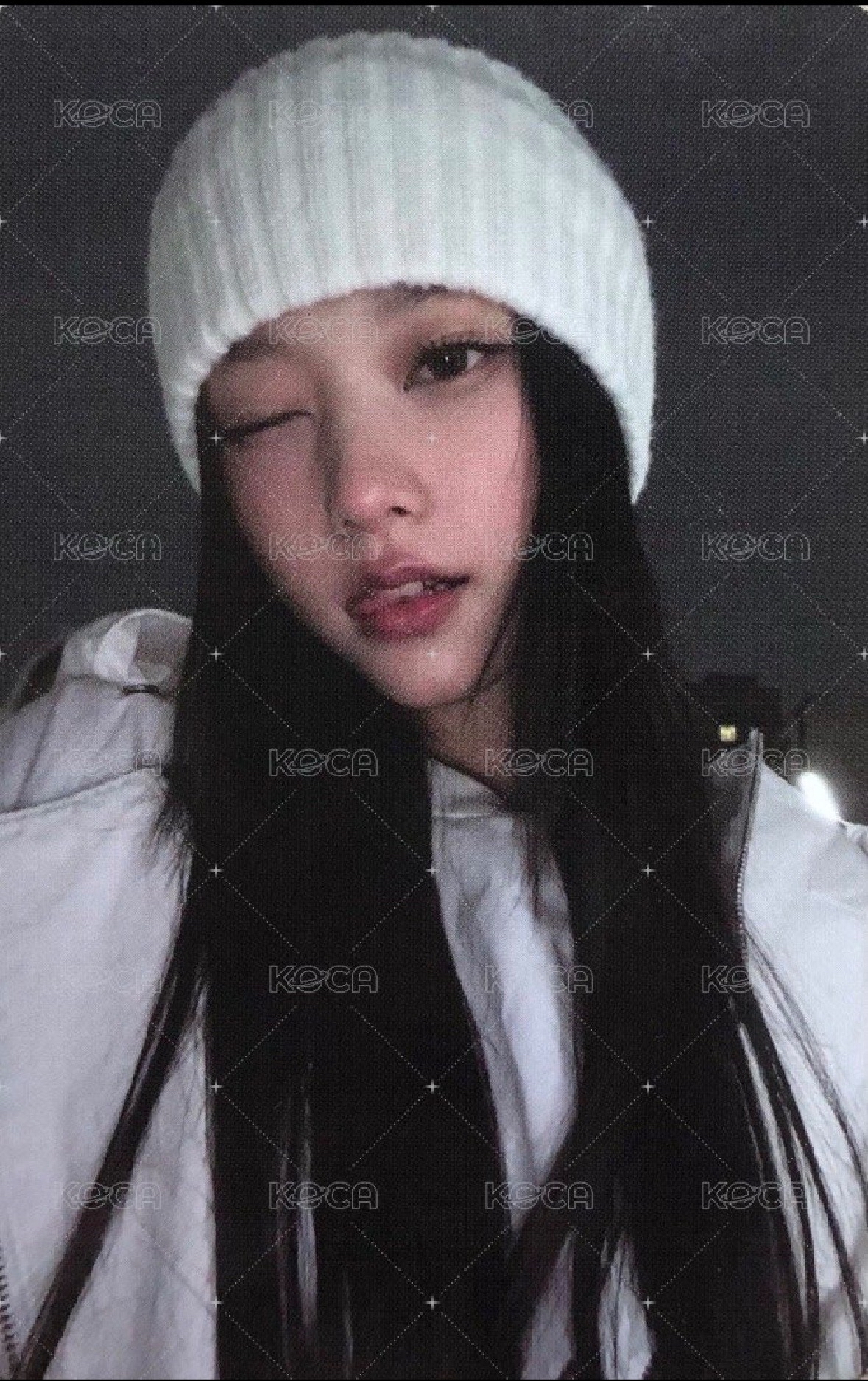 p席貓