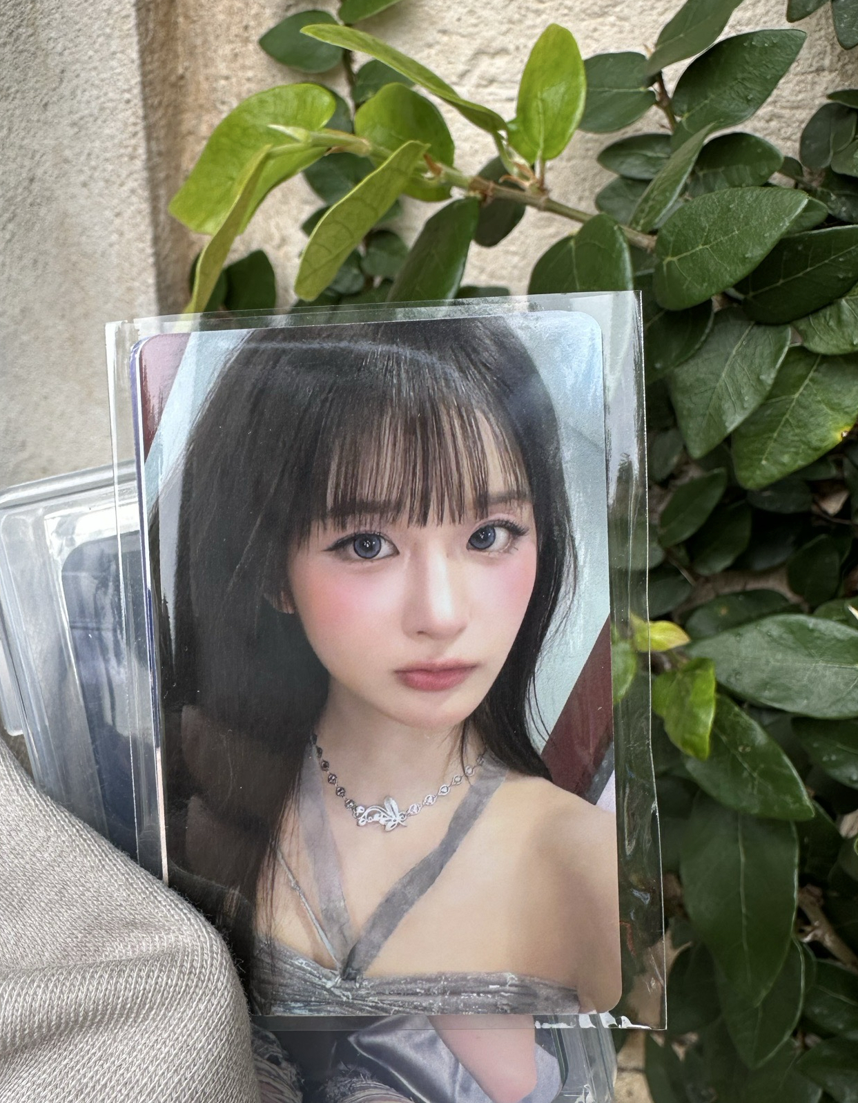 神秘盒薛
