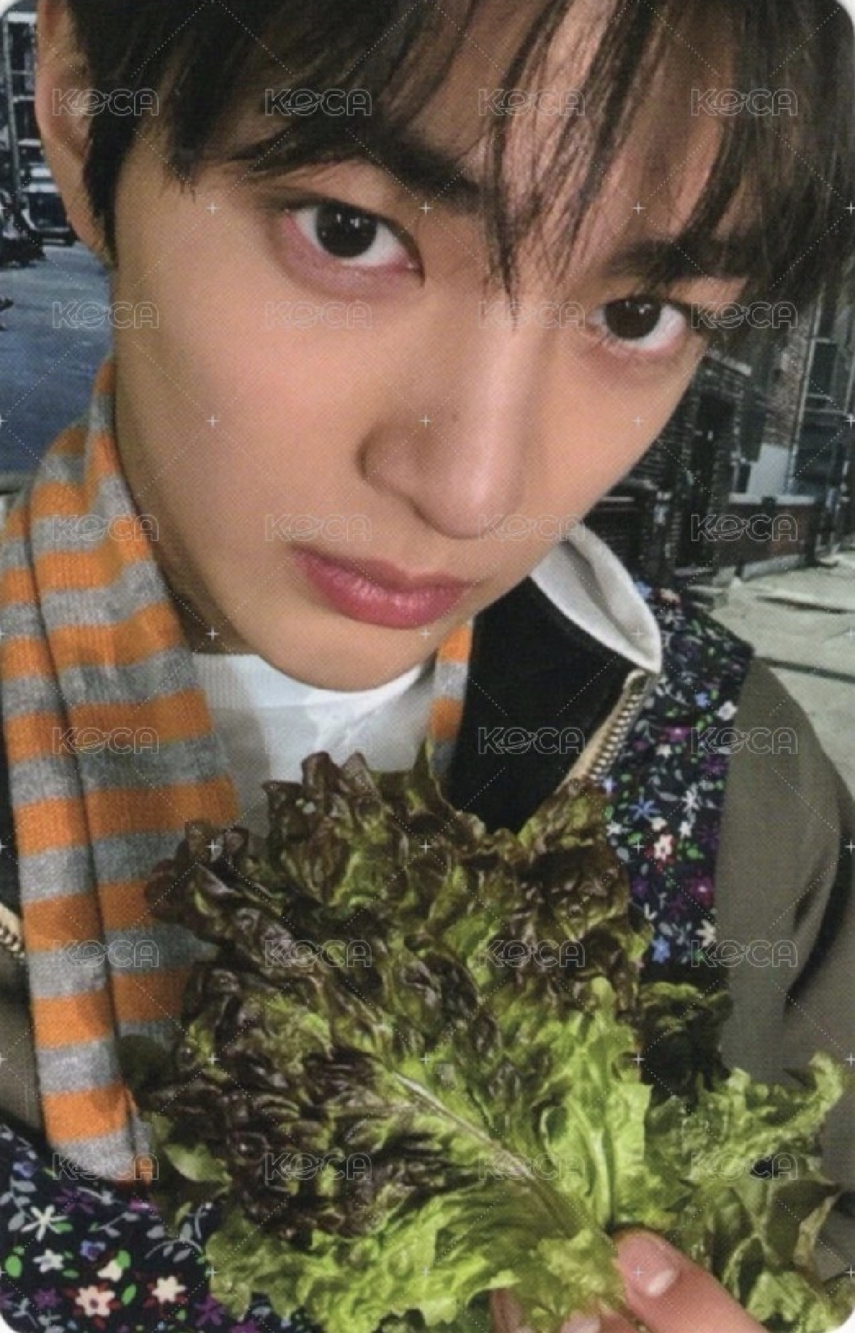 安安約你吃菜包肉🥬