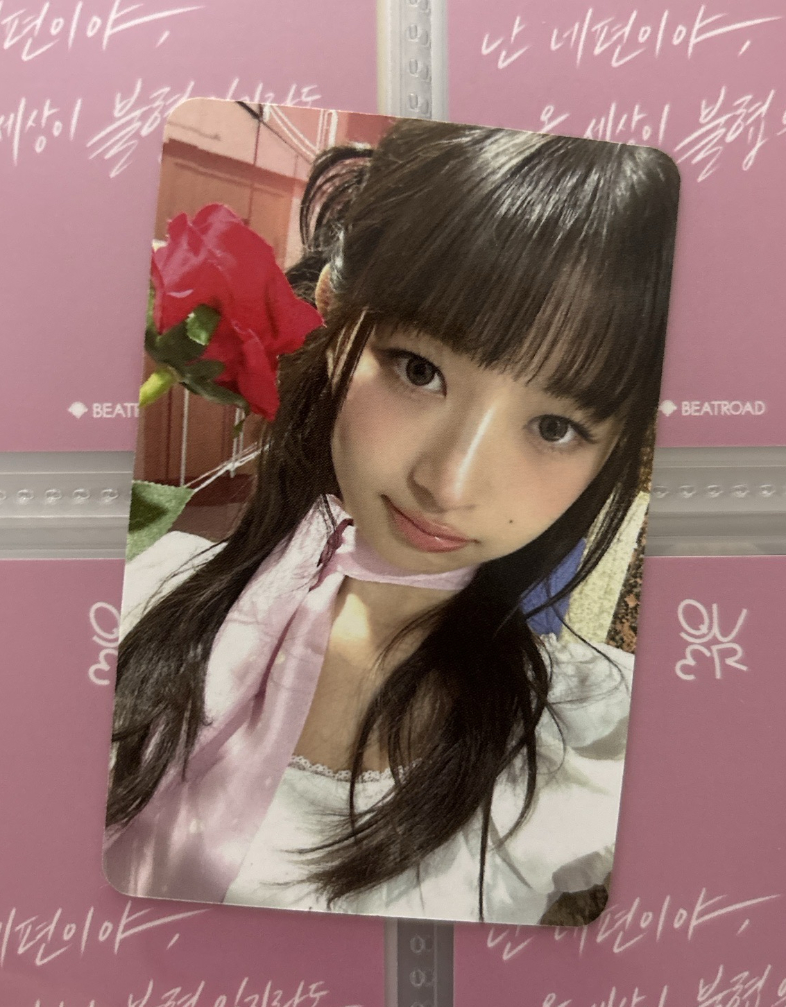 玫瑰怜🌹