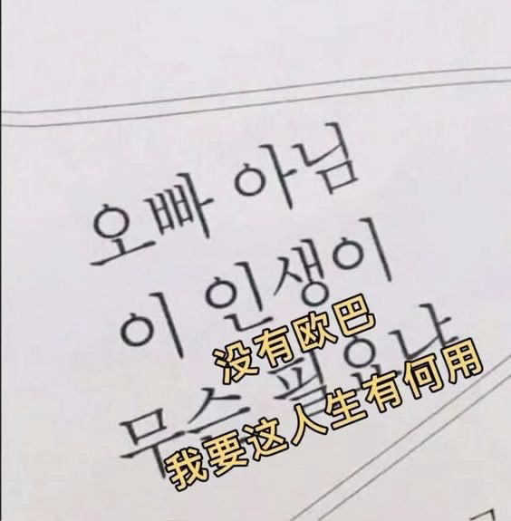 ( > <꧞)