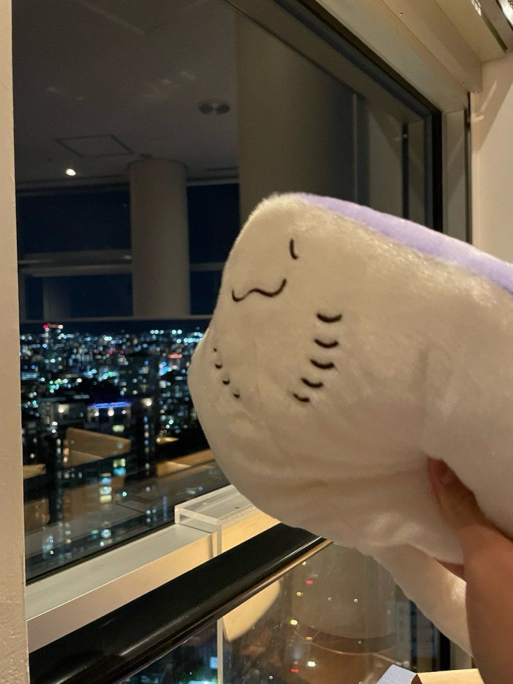 退坑售滿600免運