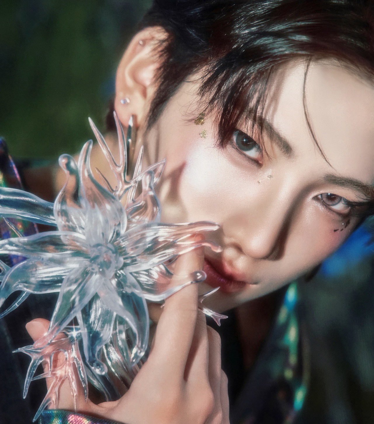 BTL Yuma-卡區