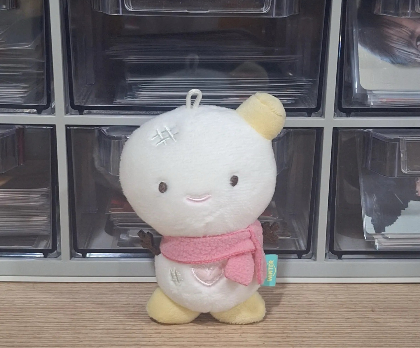 冬 10cm