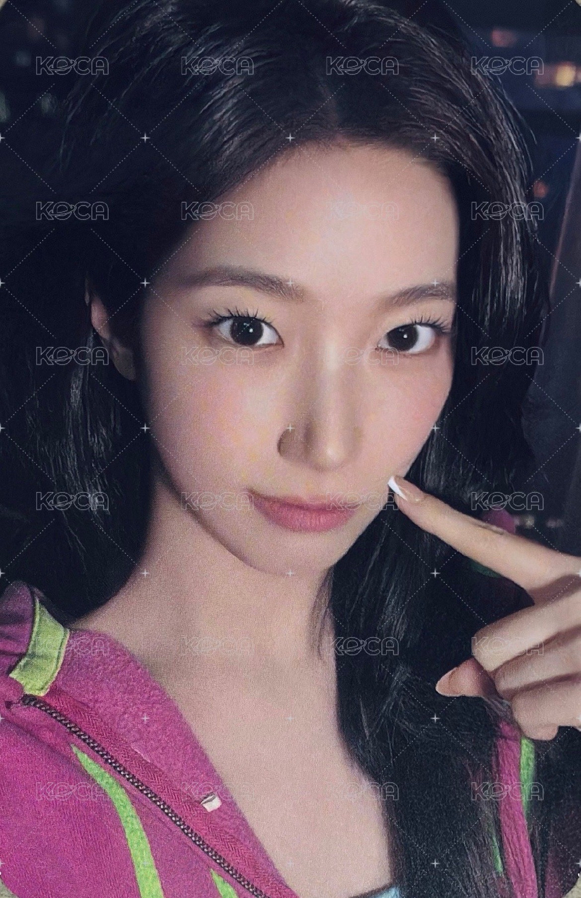 台北中簽葉