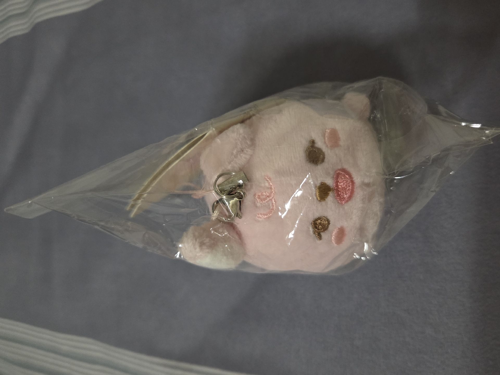 2021趴娃pil