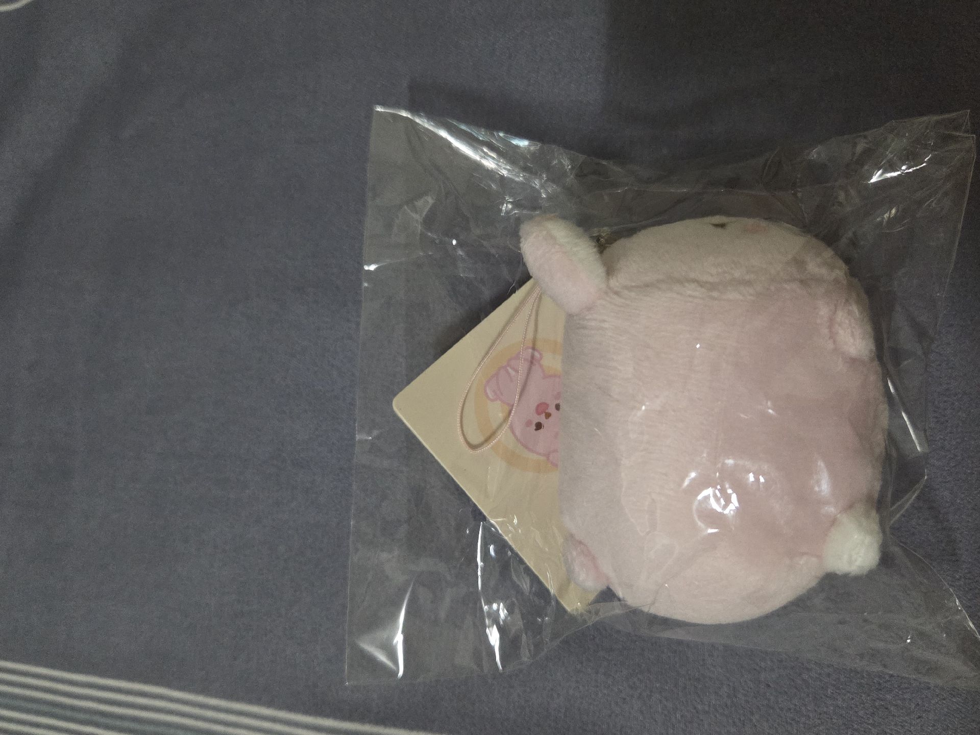 2021趴娃pil