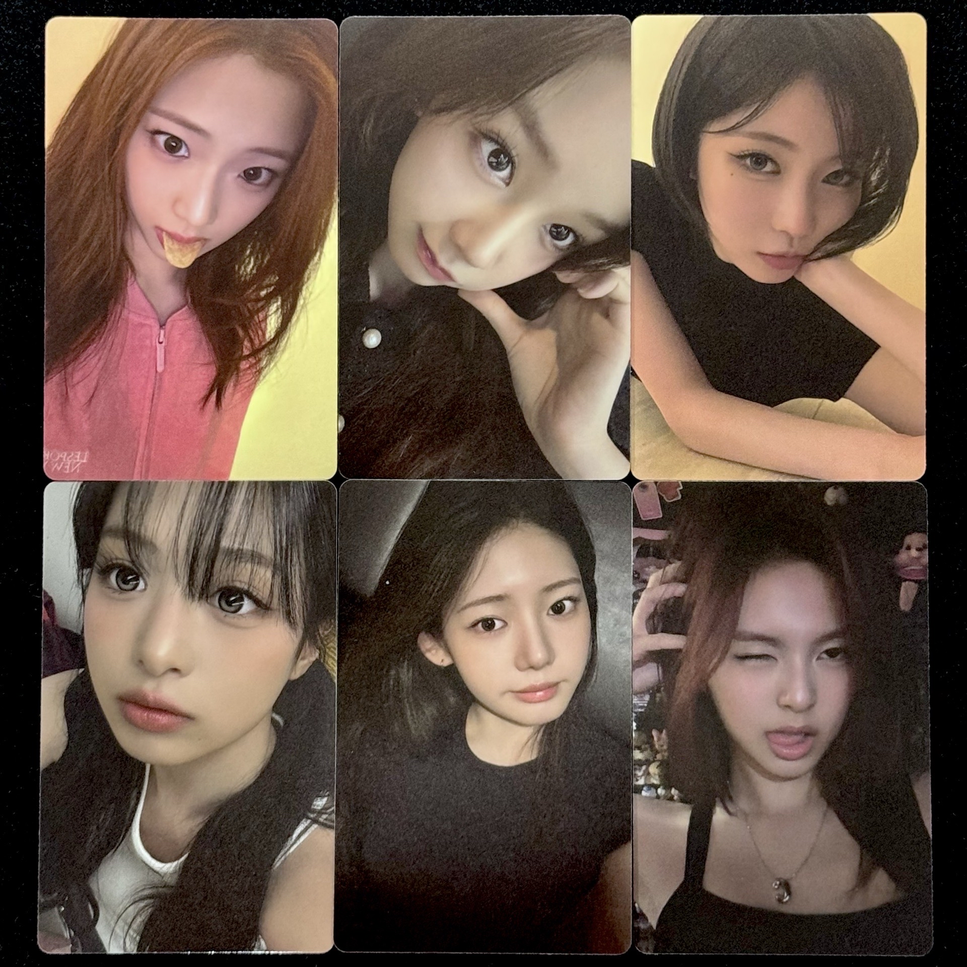 現貨 WVS預售D 單特典一套
