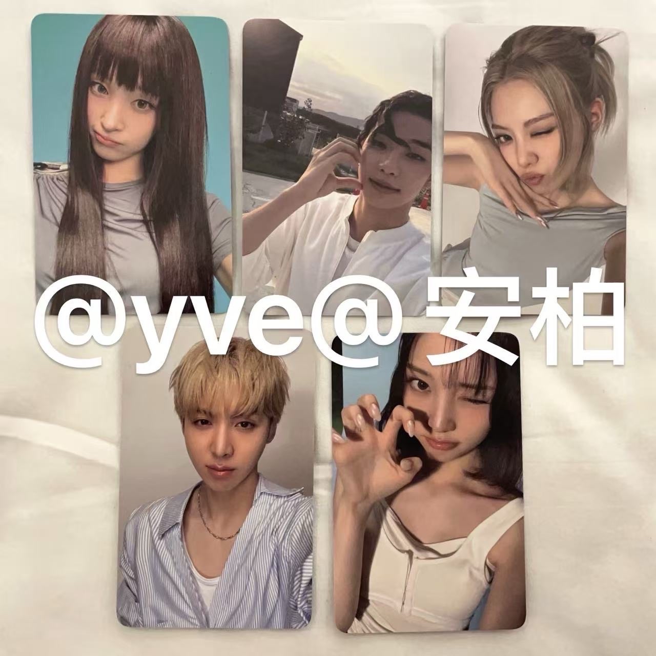 vt 代言單卡一套