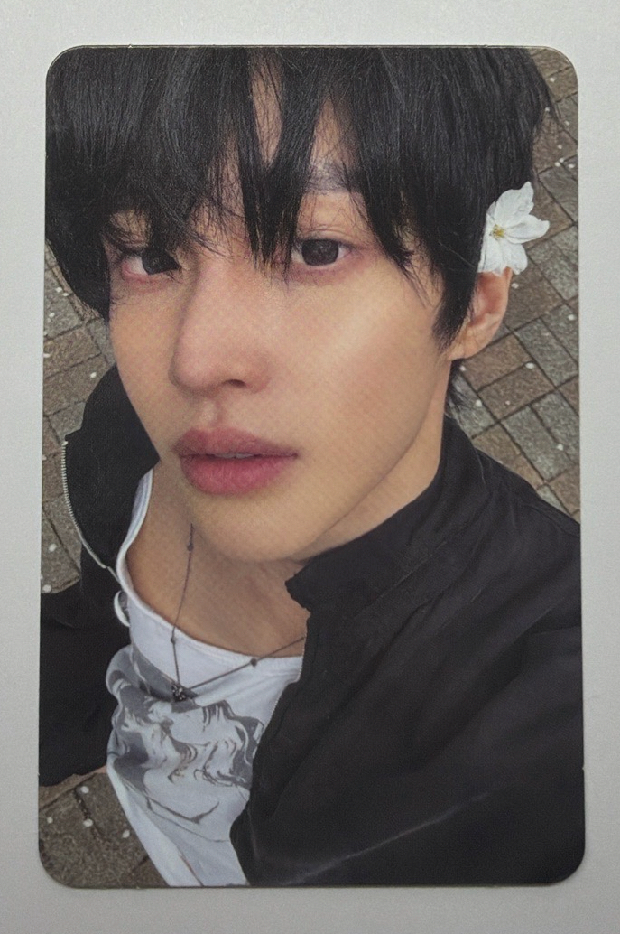 Wonbin 小卡