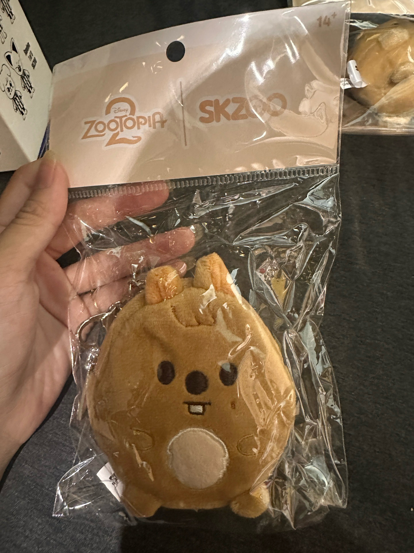 城周邊