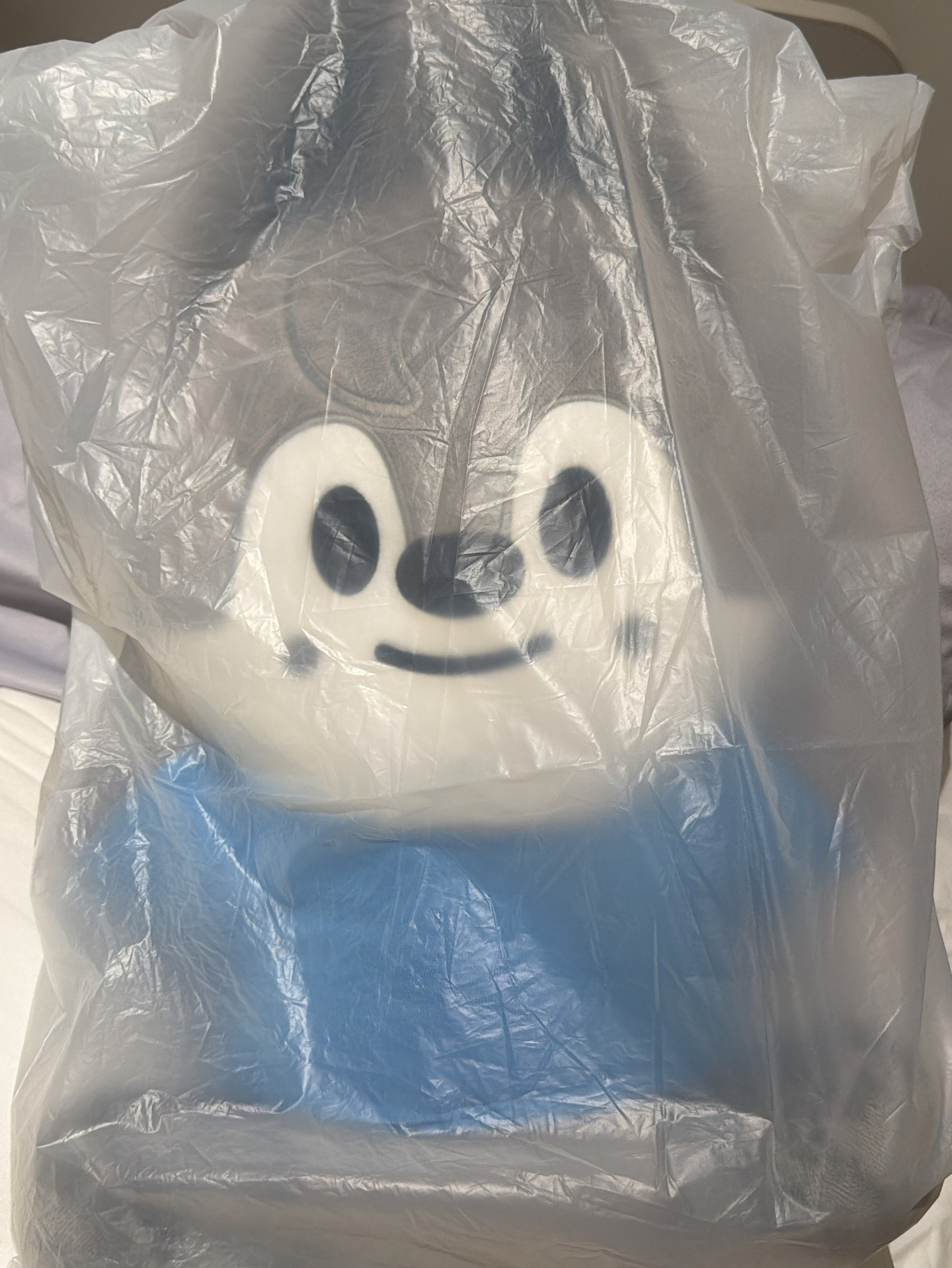 燦Hug me 豆豆眼泰迪