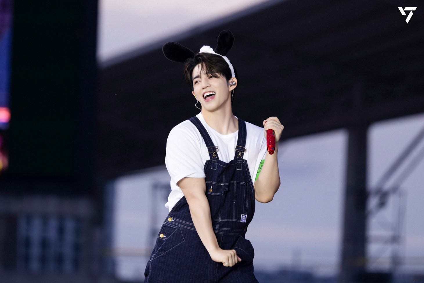 薇薇🐰