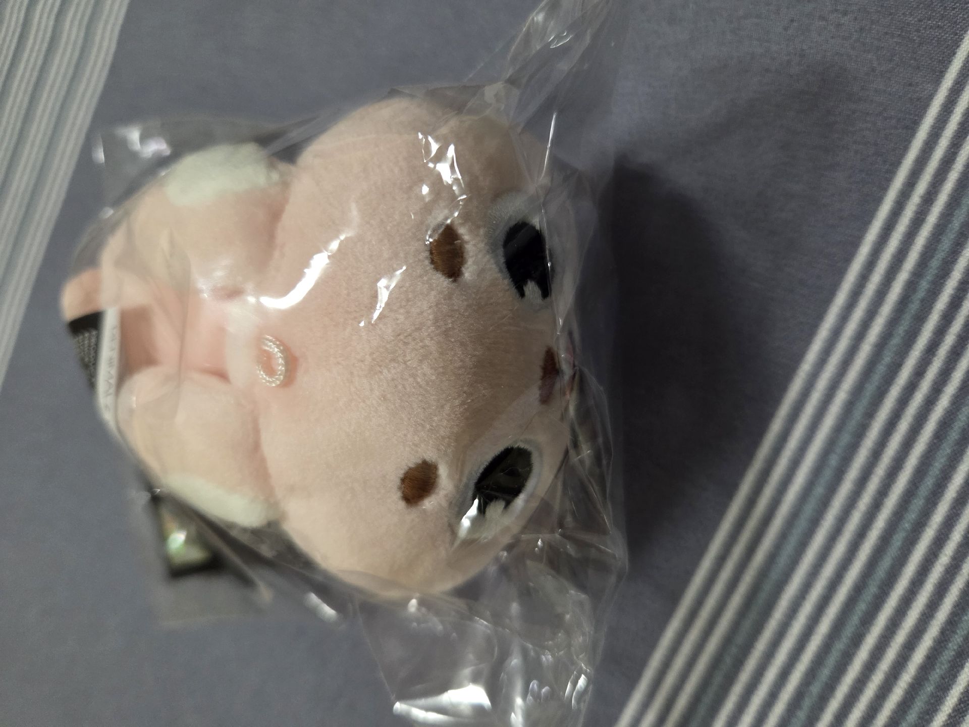 2026趴娃pil