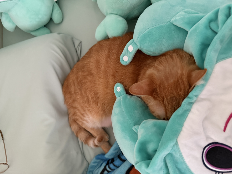 Linus