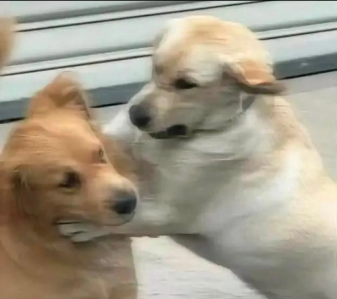 鈞._.