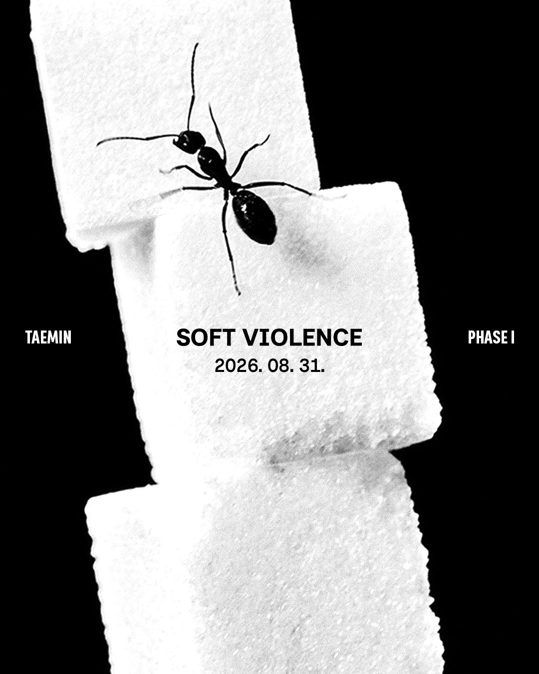 PHASE 1 : Soft Violence