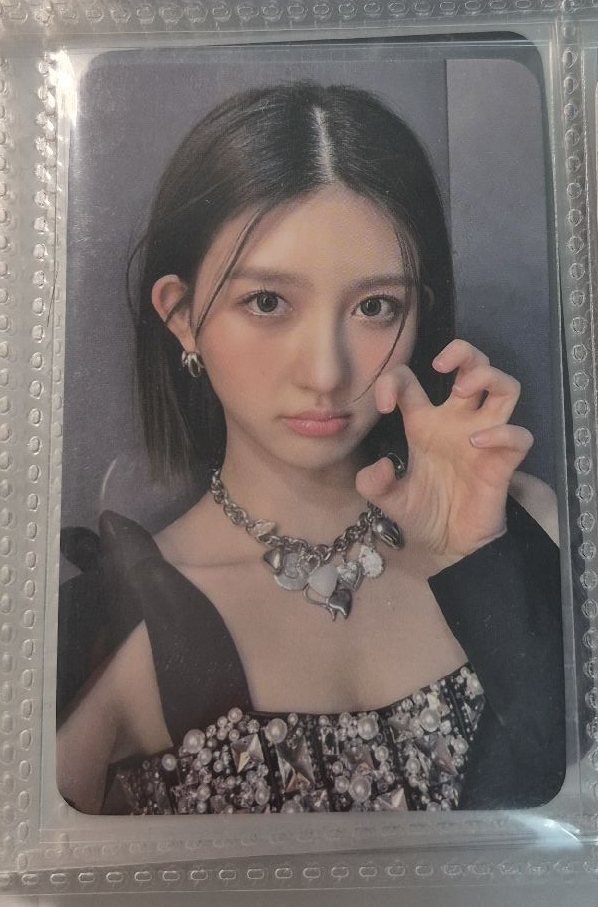 貓抓秋