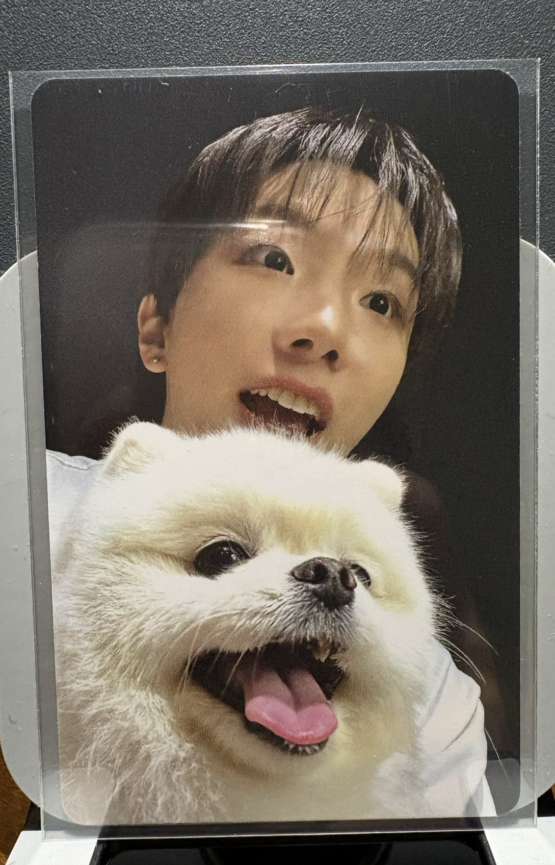 🔶狗狗卡6 含吊飾
