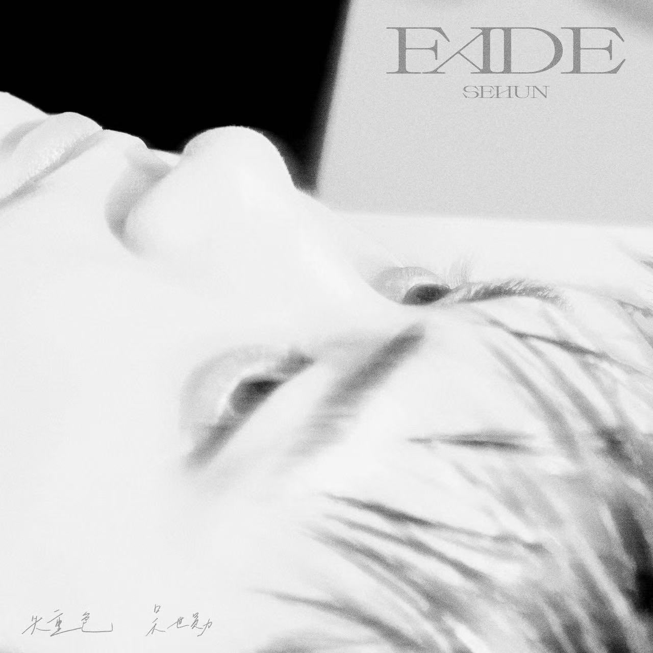 FADE 失重色