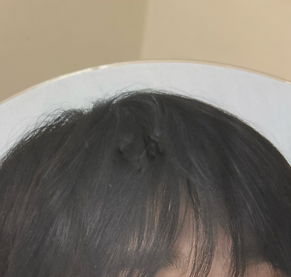 哲白軍大扇