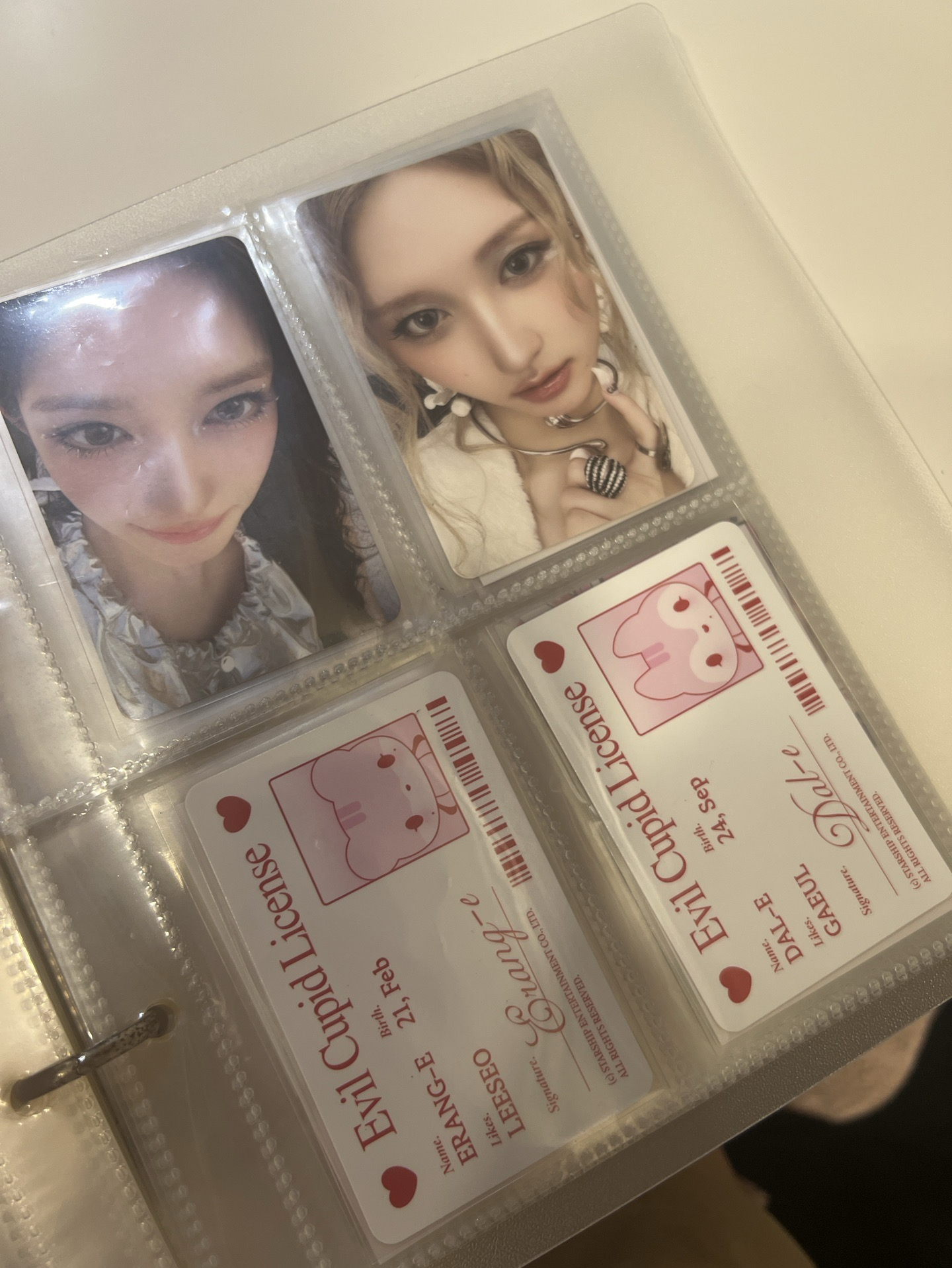 瑞 秋 專卡