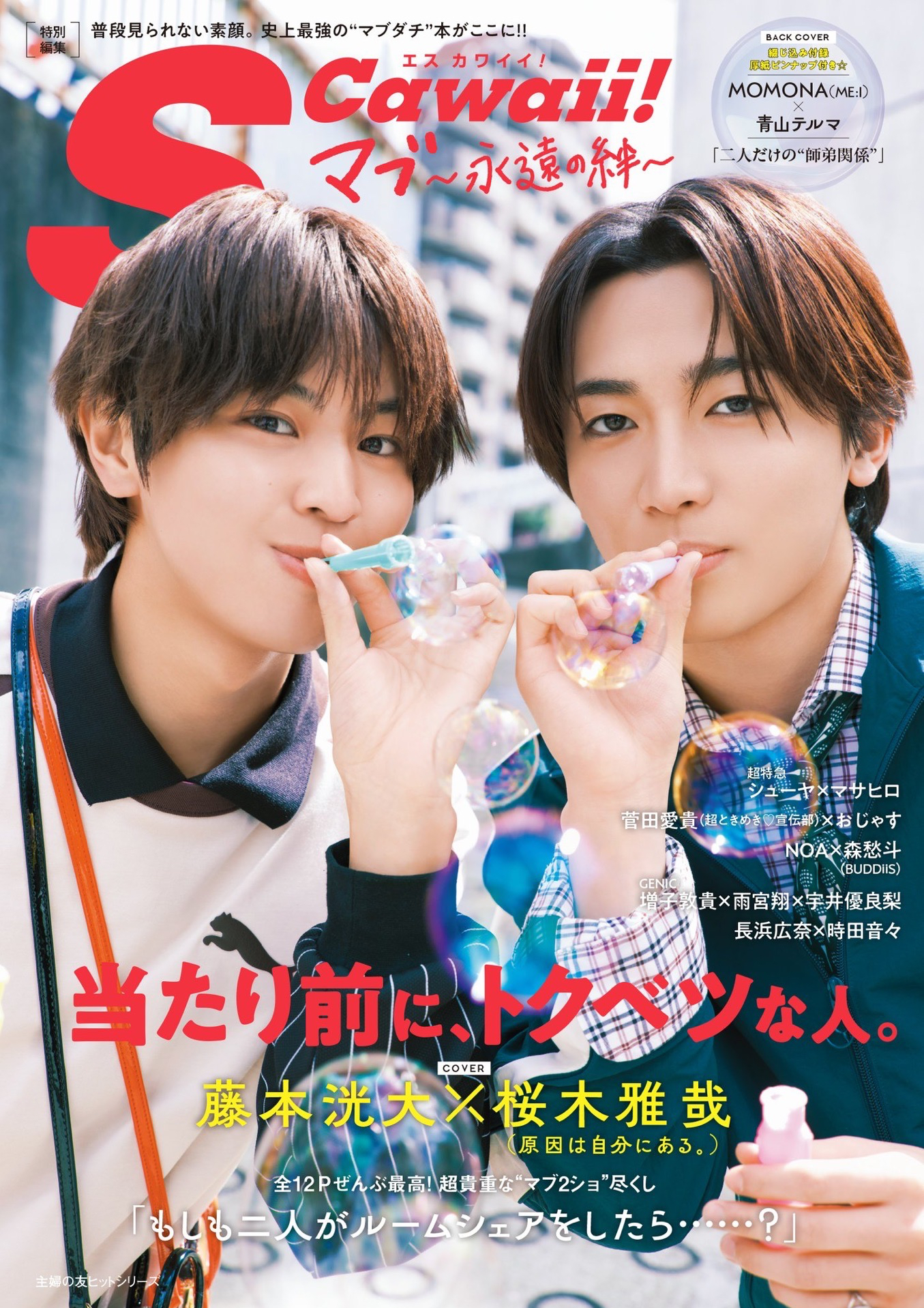 S Cawaii!特別編集 マブ～永遠の絆～