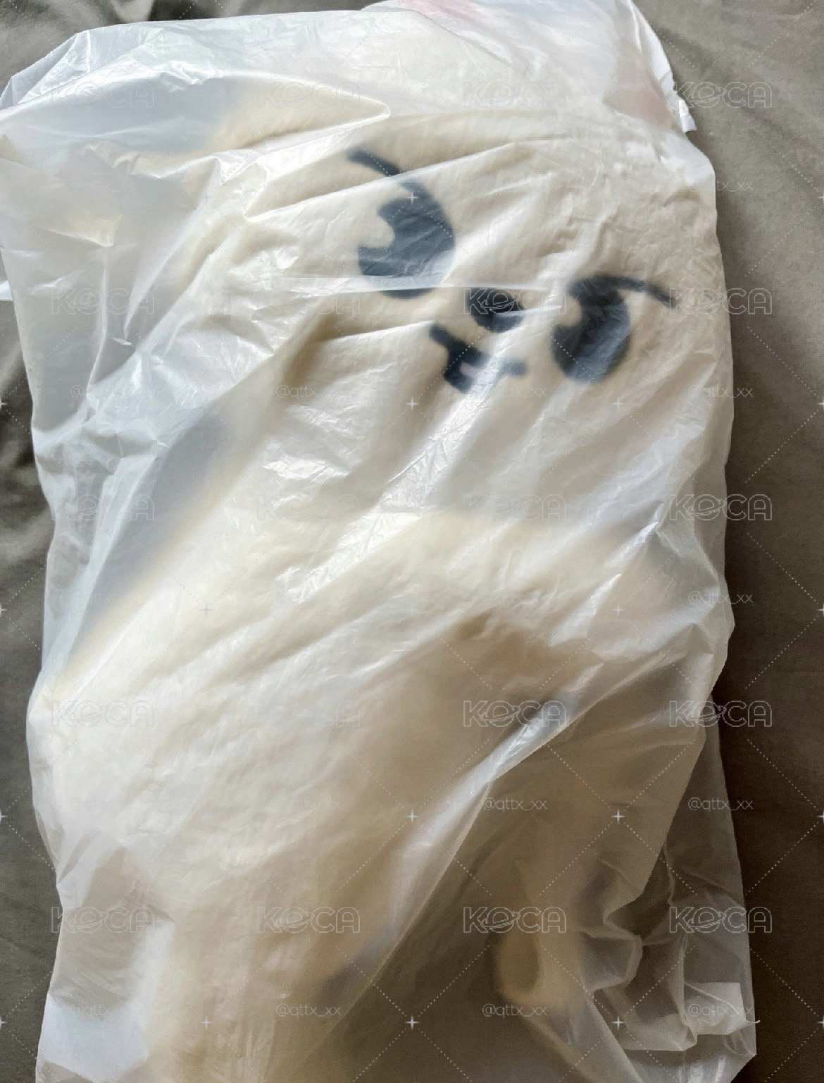 旻側背