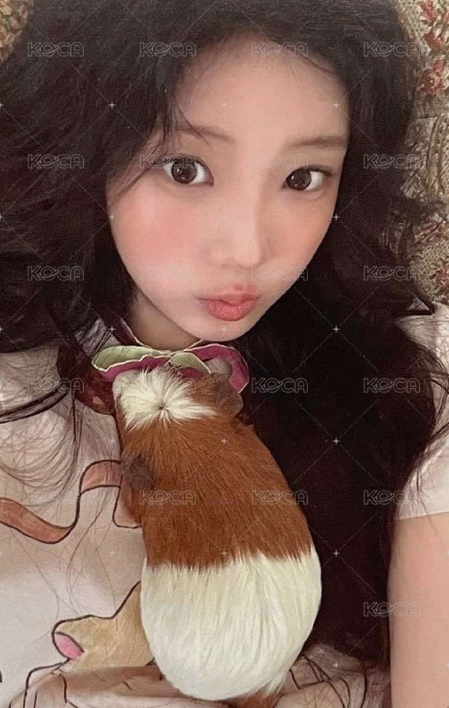 禧 專卡