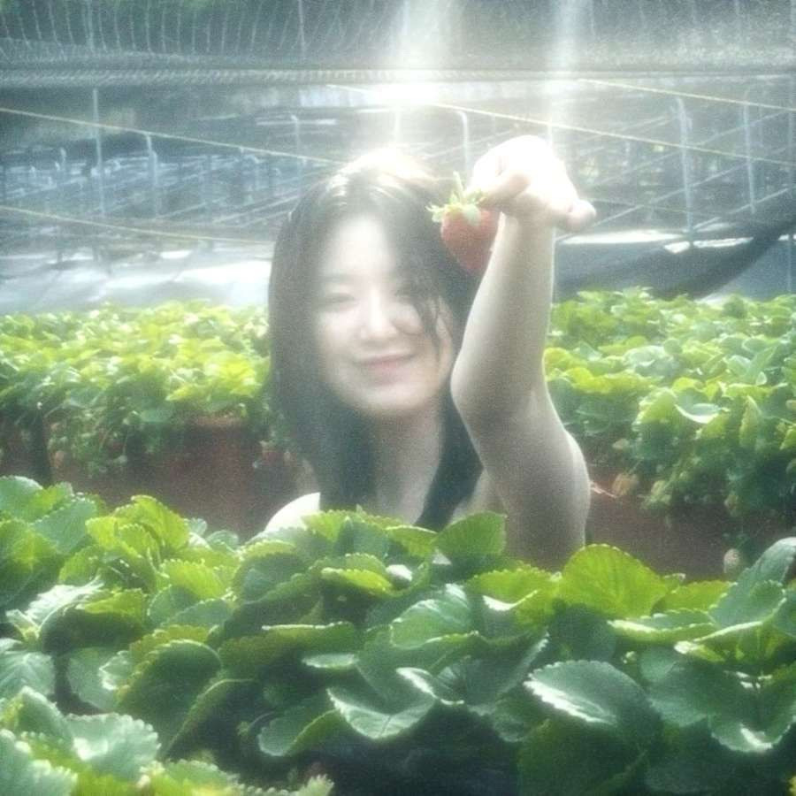 我擔超可愛(7/26~8/16停止出卡