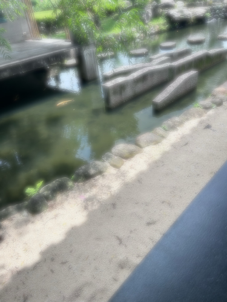 花少北、