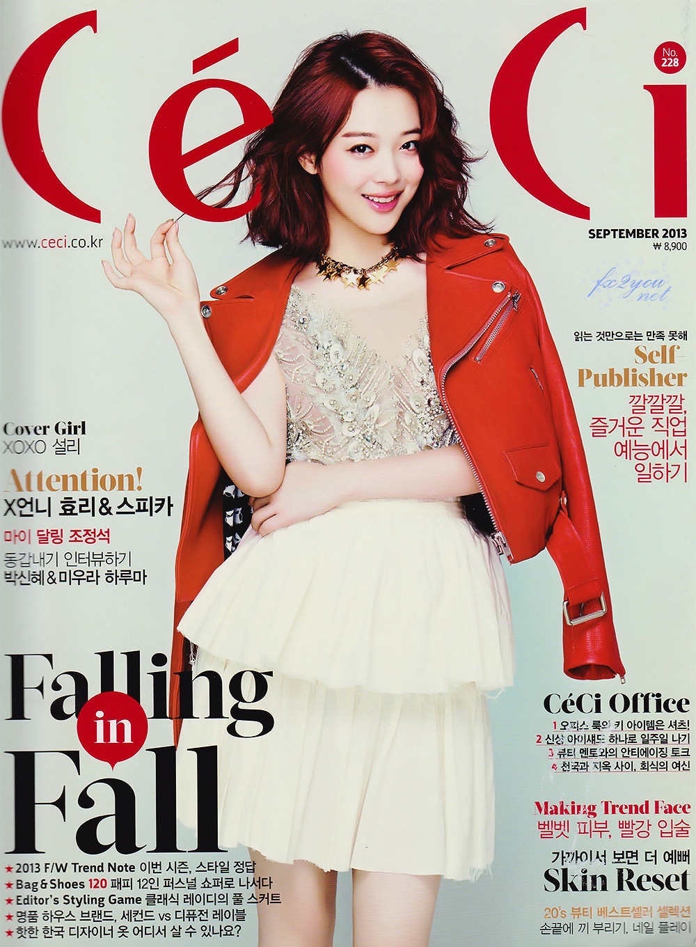 CeCi