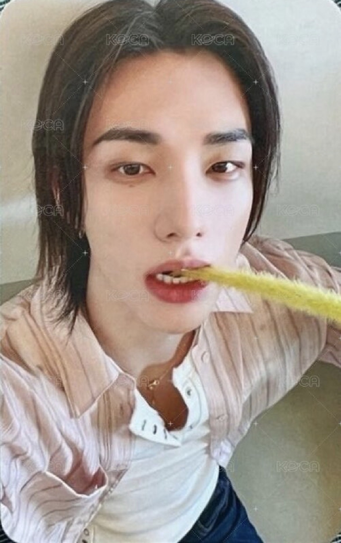 sw第一週自拍辰