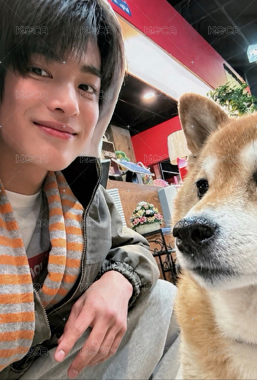 安安小狗 1.0幸運