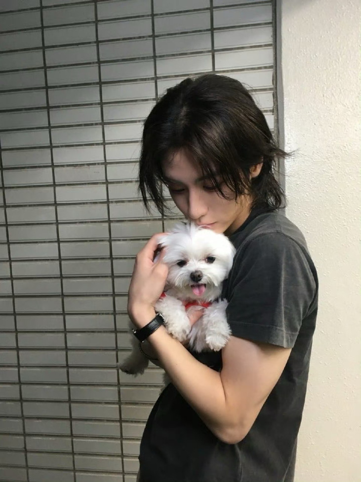 桐儇全肯定^u^