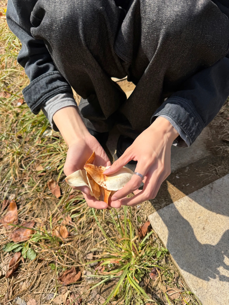 쥬디