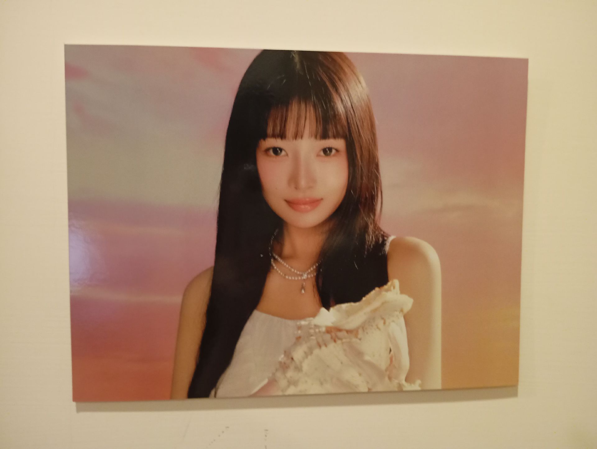 四期會員海報怜
