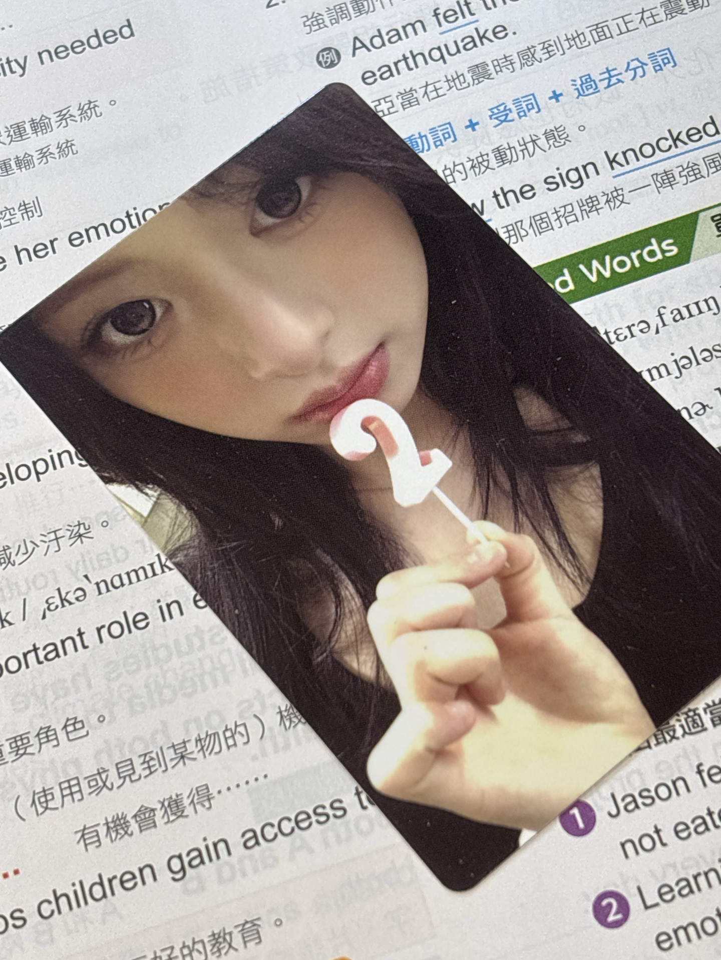 wvs賢