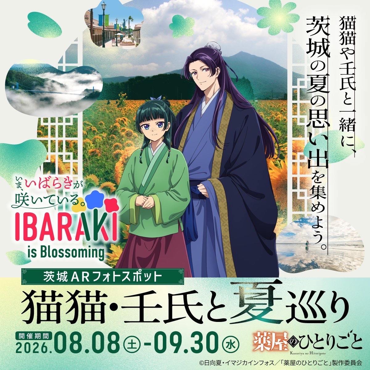 猫猫壬氏と夏巡り