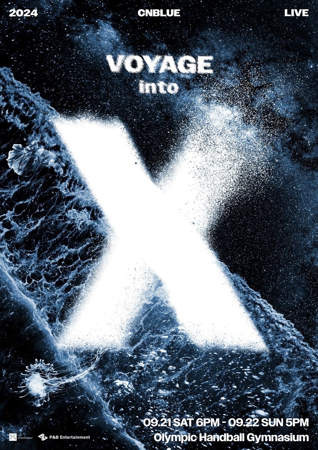 2024 voyage into x