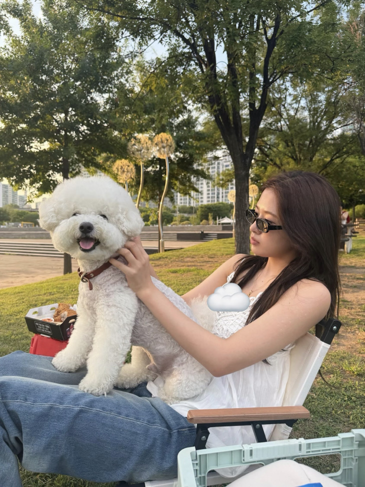 yixin
