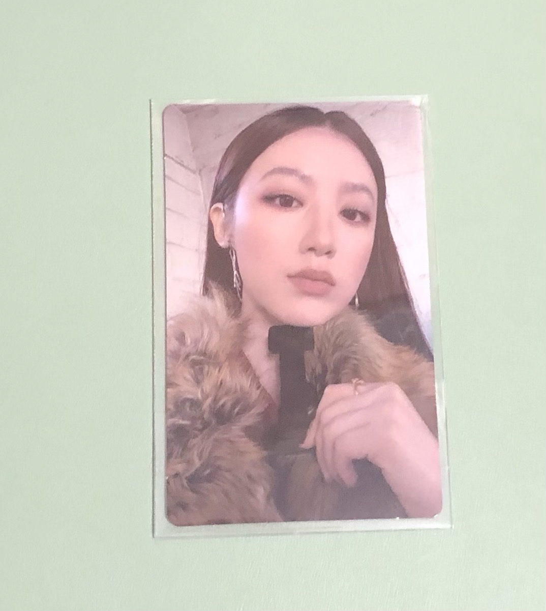 We are wvs 預售 特典卡 舒華